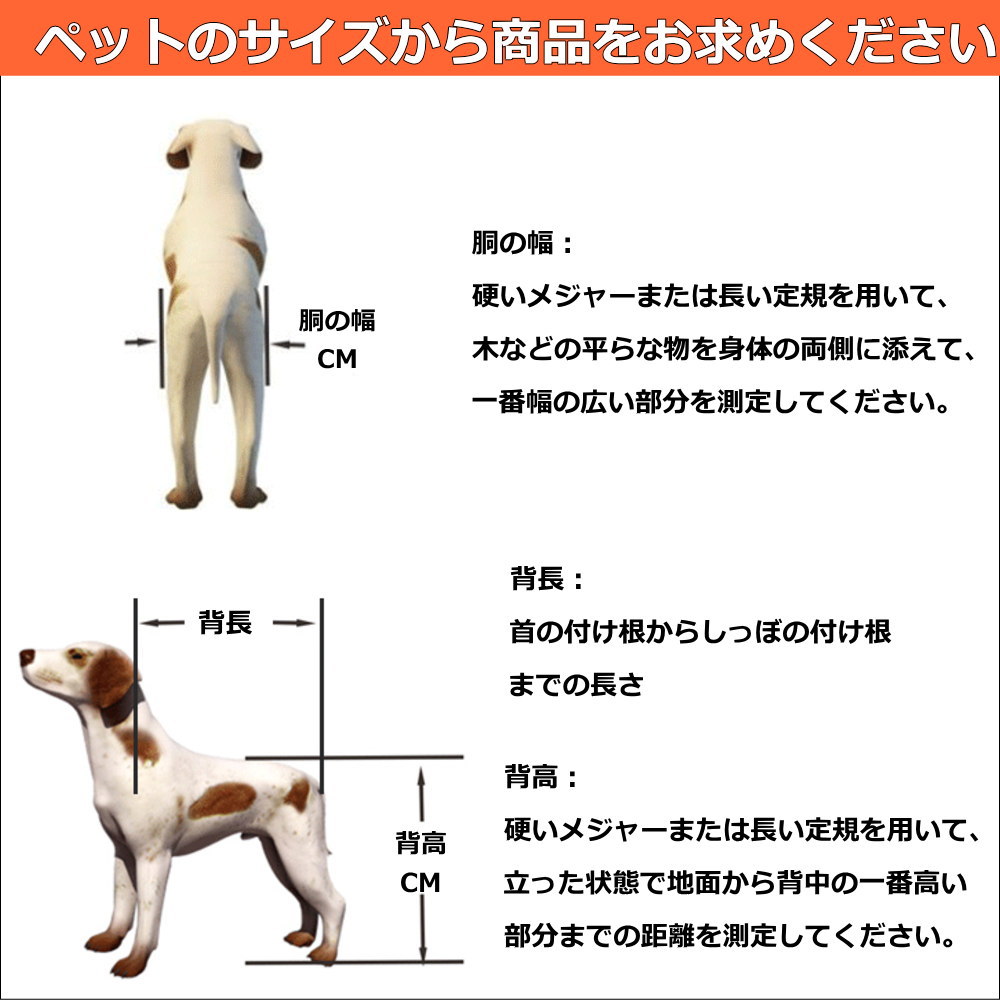 50 Off ペット車椅子 2輪歩行器 介護ハーネスセット 大型犬 後脚サポート リハビリ用 歩行補助 軽量 調節可能 ヘルニア けが Xlサイズ 大型宅配便 注目の Vancouverfamilymagazine Com