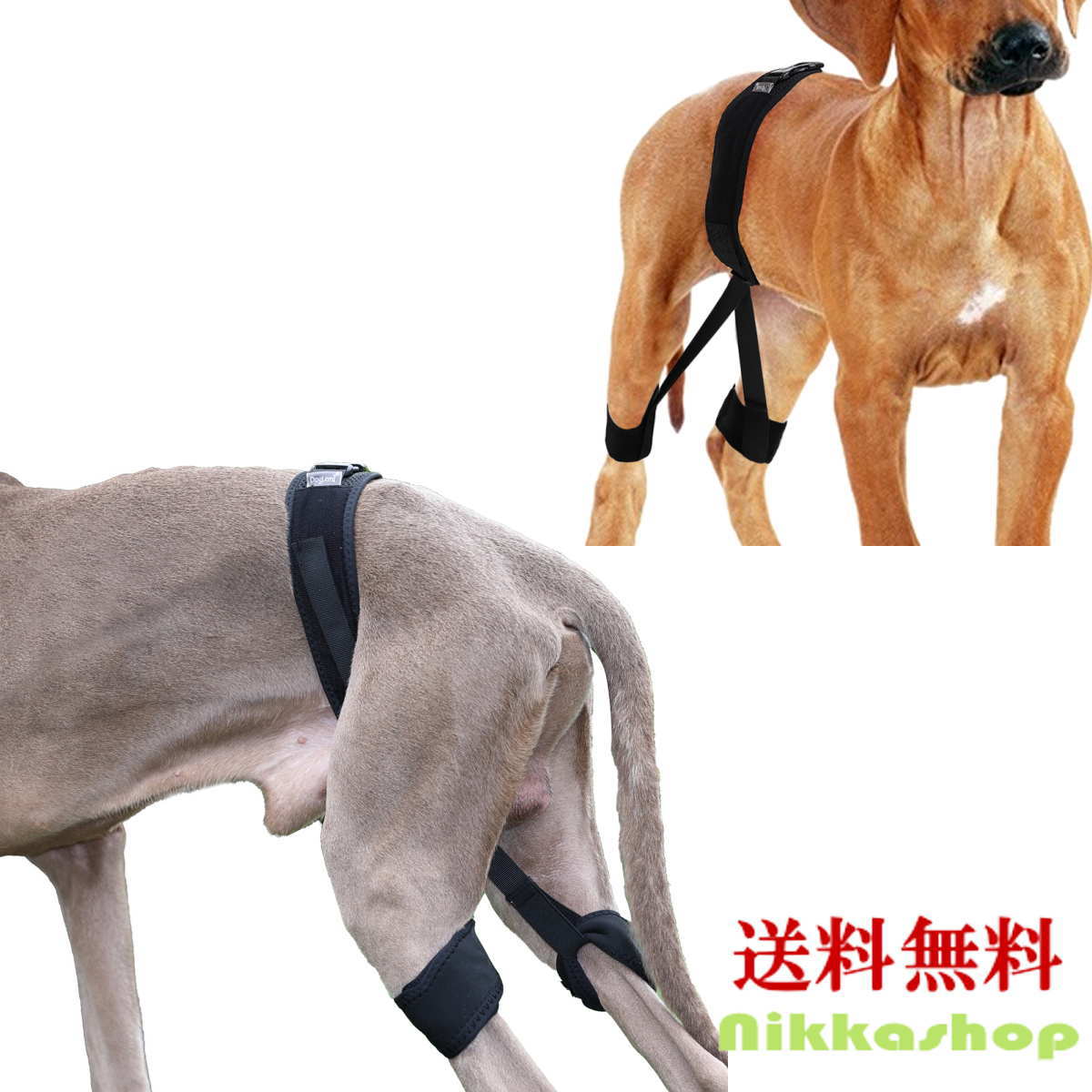 楽天市場】【anifull 公式】 アニサポ ヒップ 小型犬向け アニフル