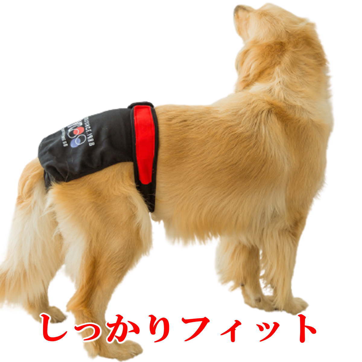 市場 クーポン対象商品 発情期用 女の子用 メス 大型犬 マナーパンツ サニタリーパンツ おむつカバー 犬服 ドッグウェア 生理パンツ