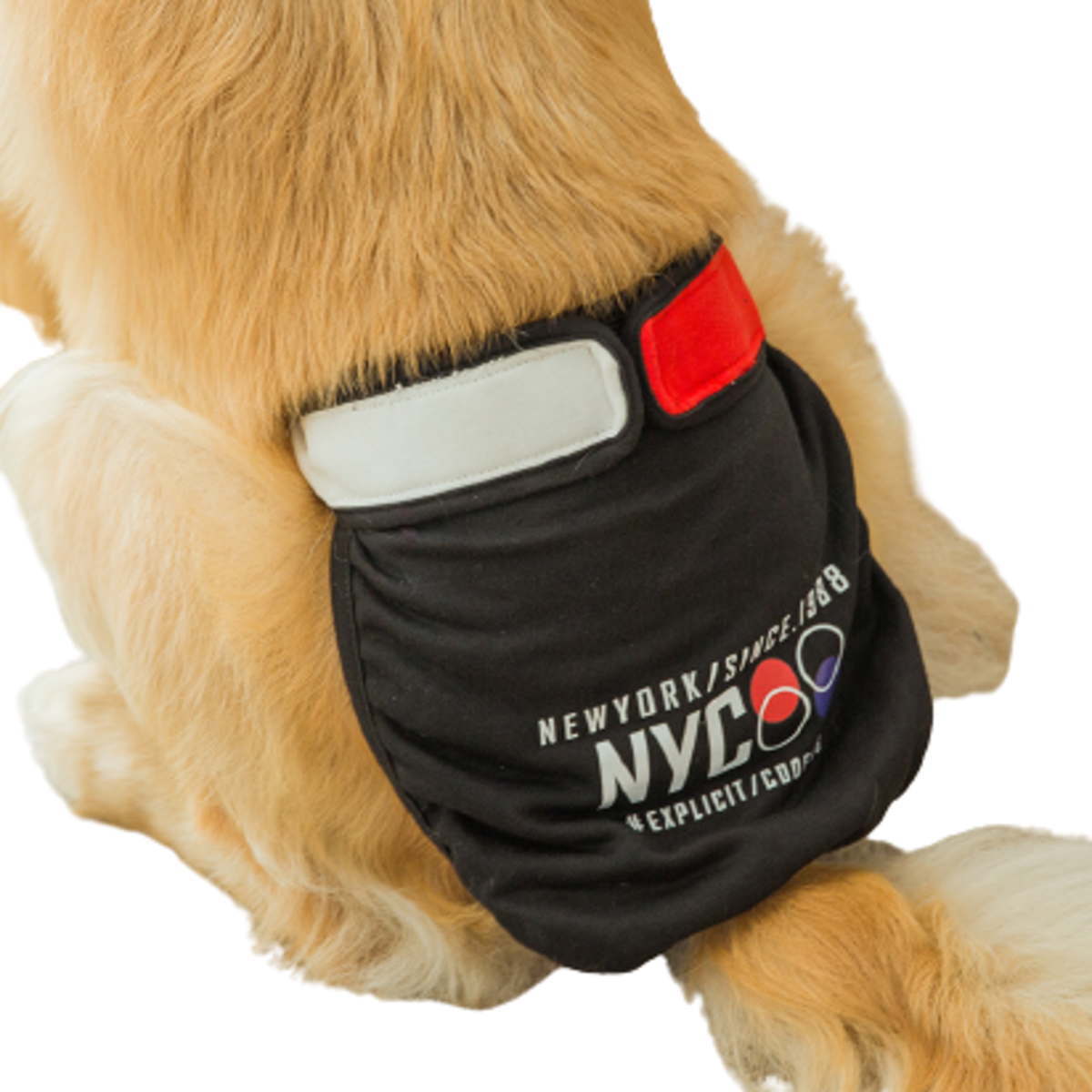 楽天市場 犬服 ドッグウェア サニタリーパンツ 大型犬 生理パンツ マナーパンツ おむつカバー 女の子用 発情期用 メス 生理用 マーキング 尿もれ オシッコ対策 ずれない マナー ズレ防止 ドッグカフェ 室内 おでかけ ドライブメール便送料無料 Nikkashop