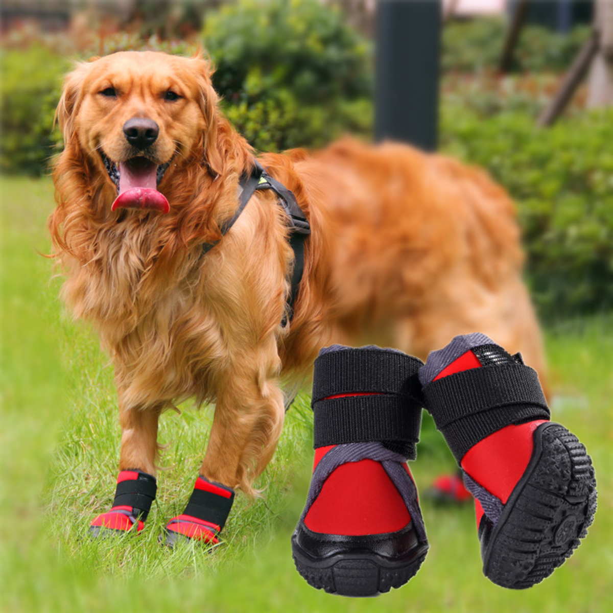 犬 靴 脱げない 履かせやすい くつ 小型 散歩 いぬたび タビ 足袋 足袋シューズ