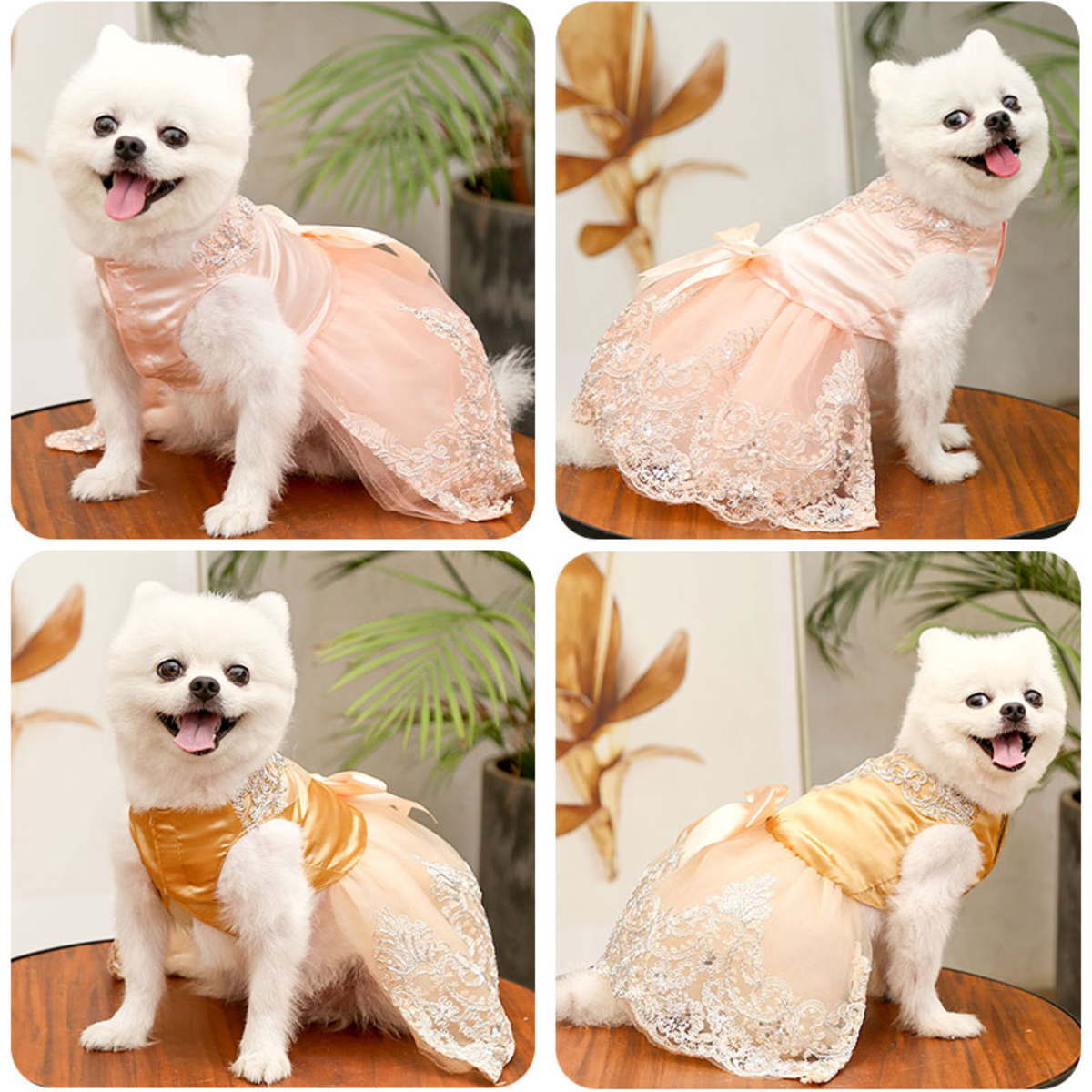 犬 夏服 犬服 ドッグウェア ペット服 ワンピース 犬ドレス 上品 シルク ペットウェア 犬の服 かわいい 可愛い リボン ホワイトピンク レース  キラキラ 女の子 着せやすいオシャレ お祝い ペット用品 抜け毛防止 お出かけ お散歩ウェア 犬用品