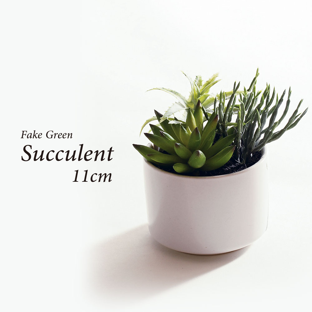 楽天市場 人工観葉植物 フェイクグリーン リアル 観葉植物 造花 多肉植物 陶器鉢付 卓上 小型 フェイク グリーン インテリア おしゃれ お祝い 父の日 恵月人形本舗