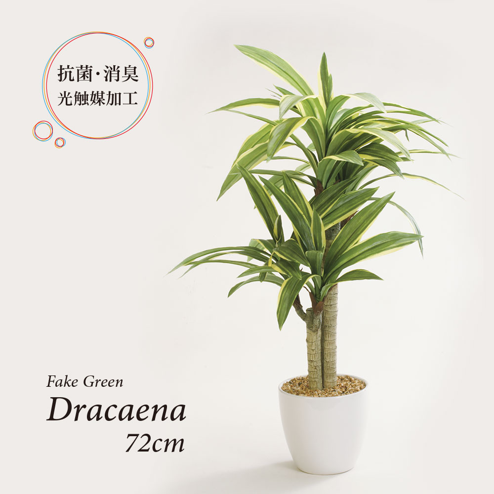人工観葉草木 フェイクグリーン 即物的 観葉草木 造花 ドラセナ 天然木 瀬戸もの鉢付 光触媒 大型 如何様物 緑であること 室内装飾 今めかしい 儀式用 父の日 72糎