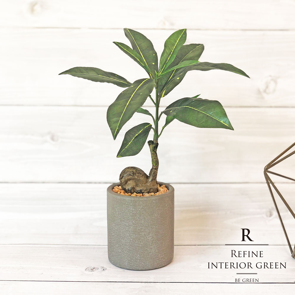 楽天市場 観葉植物 父の日 屋外 フェイクグリーン リアル 人工観葉植物 父の日 屋外 コーヒーノキ 造花 コンパクト おしゃれ ツリー 店舗装飾 鉢付 ポット 小型 フェイク グリーン インテリア 29cm 恵月人形本舗