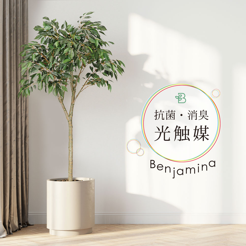 企業様 個人様に累計本数本 人工観葉植物 父の日 除菌 リアル インテリア Mvp18冠受賞 造花 人工観葉植物 父の日 造花 屋外 ベンジャミン 光触媒 屋外 フェイクグリーン 観葉植物 ツリー 陶器鉢付 除菌 消臭 大型 フェイク グリーン インテリア おしゃれ 企業様 個人様に累計本数本 人工観葉植物 父の日 除菌 リアル インテリア Mvp18冠受賞 造花 人工観葉植物 父の日 造花 屋外 ベンジャミン 光触媒 屋外 フェイクグリーン 観葉植物 ツリー 陶器鉢付 除菌 消臭 大型 フェイク グリーン インテリア おしゃれ