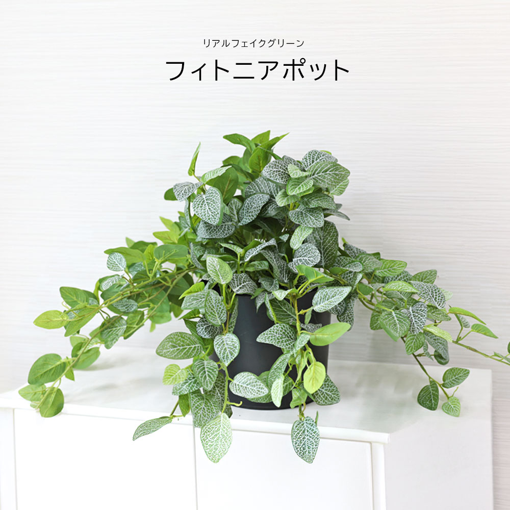 人工観葉草木 父の日 室外 フェイクグリーン 即物的 観葉草木 父の日 室外 造花 フィトニア 鉢付 室内装飾 今めかしい 42糎