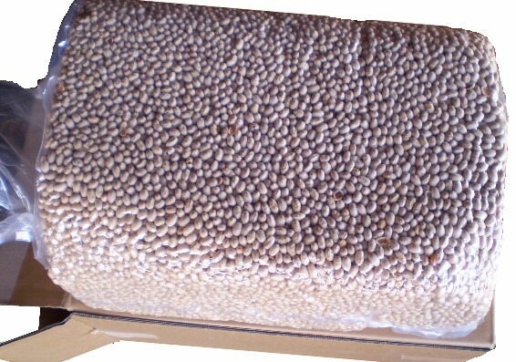 やわらかサクサク 業務用福豆 15kg(国内産煎り大豆)年中お届け|日東商事