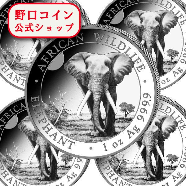 楽天市場】即納 2025 1オンス 中国 雲龍図 銀貨 □【5枚】セット