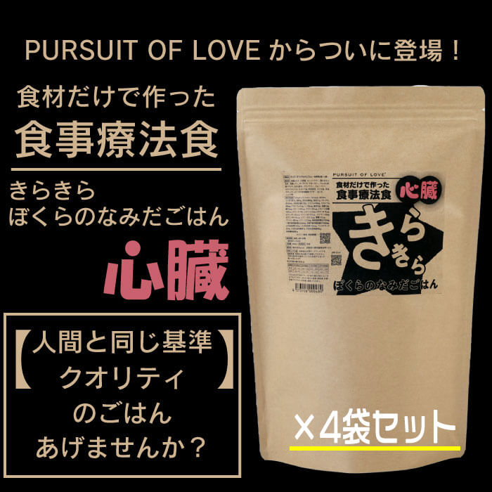 きらきらぼくらのなみだごはん　（心臓） きらきら ぼくらのなみだごはん〜食事療法食・心臓〜｜わん子ん