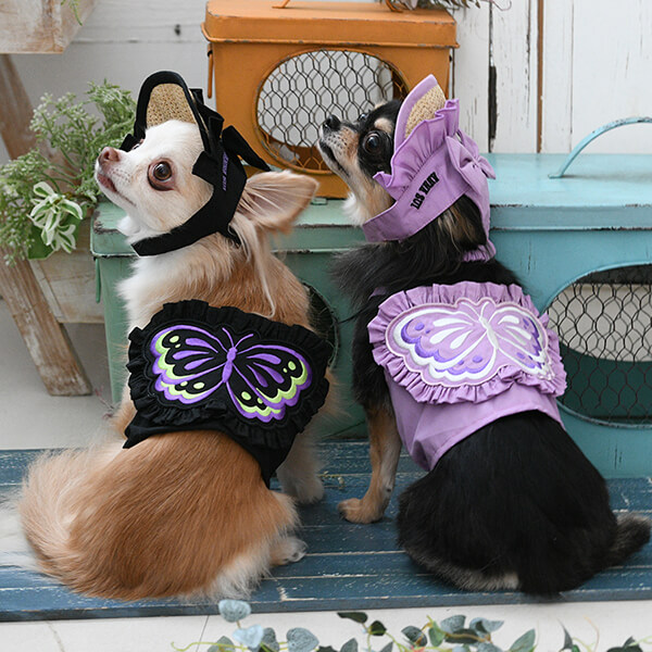 ANNA SUI バタフライキャミ（ミニ丈） 2026 春 夏 ワンピ 女の子 小型犬 ダックス かわいい おしゃれ お揃い お出かけ 撮影会 PAS1083 TW 【アナ スイ】 ※お取り寄せ商品※