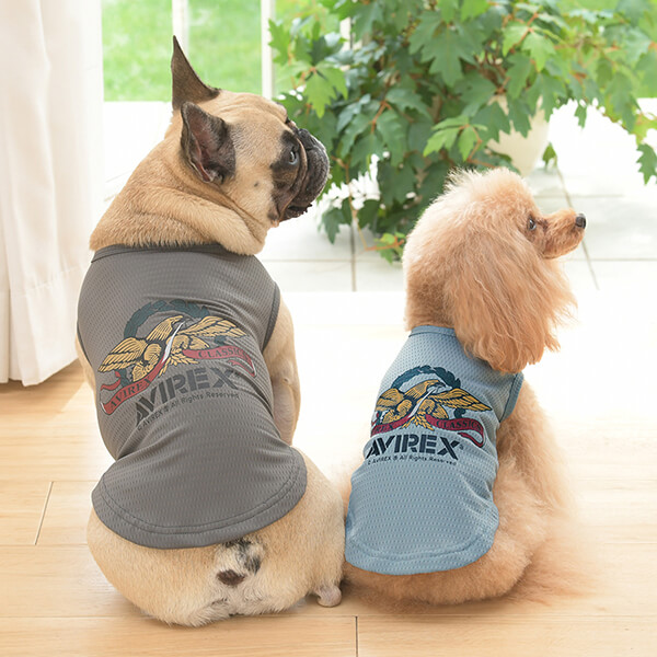 楽天市場】ALPHAICON アルファアイコン ドッグウェア 1Lサイズ＜サマー