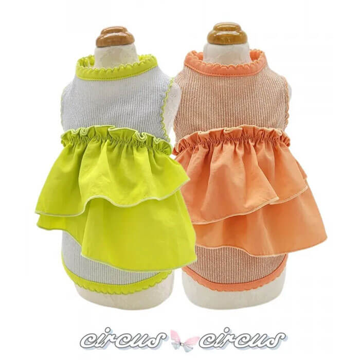 G Laundry BearフリルタンクXS＆マット セットcircusサーカス Laundry Bearフリルタンク - CIRCUS CIRCUS ONLINE SHOP