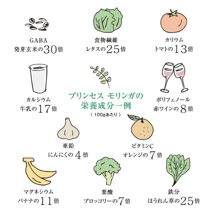 プリンセスモリンガfrom沖縄30g（300粒）犬サプリ無添加アミノ酸