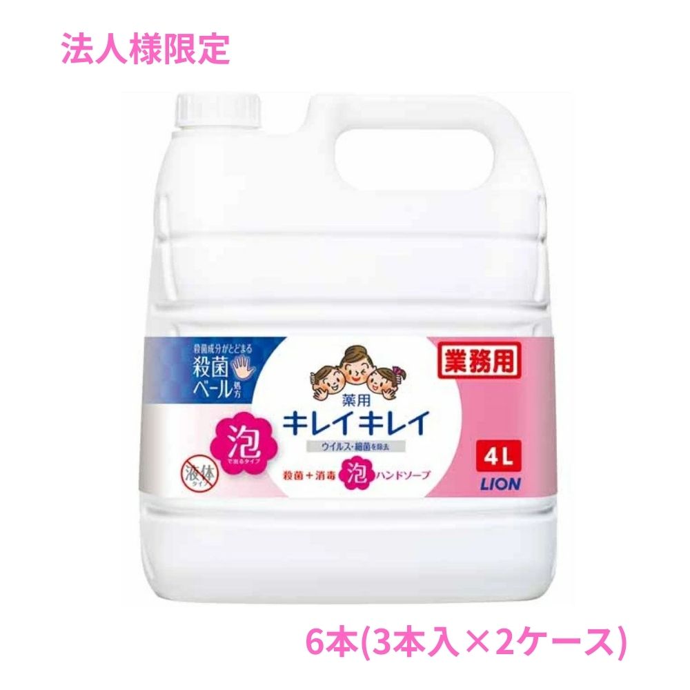 【法人様限定】ライオン　キレイキレイ薬用泡ハンドソープ　4L&times;3本入&times;2ケースロット【取り寄せ商品・代引き不可・時間指定不可・沖縄、北海道、離島不可】｜業務ショップのん太郎 店