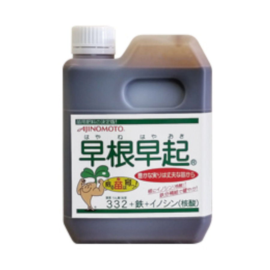 早根早起 1L×5本仕掛ける (1.2kg×5本)