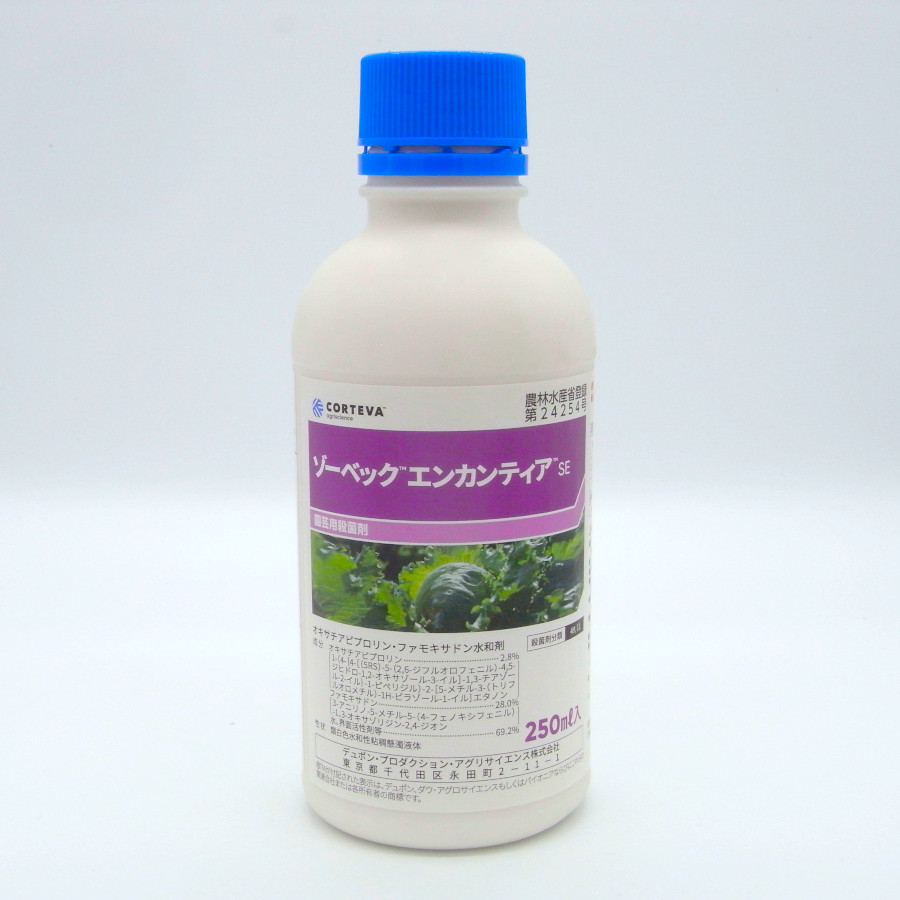 楽天市場】【2025年3月出荷分】小布施 ソガペールエフィス リア