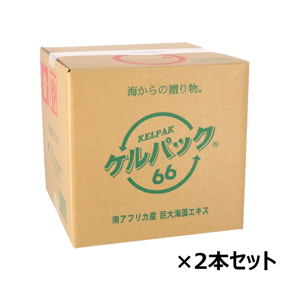 ケル容器に並べる66 10L×2本書き割り