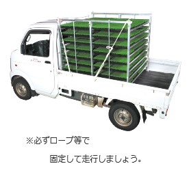 苗コンテナ