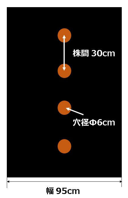 楽天市場 黒マルチ ホールマルチ 9130 中穴 0 02mmx950mmx0m 農援 楽天市場店