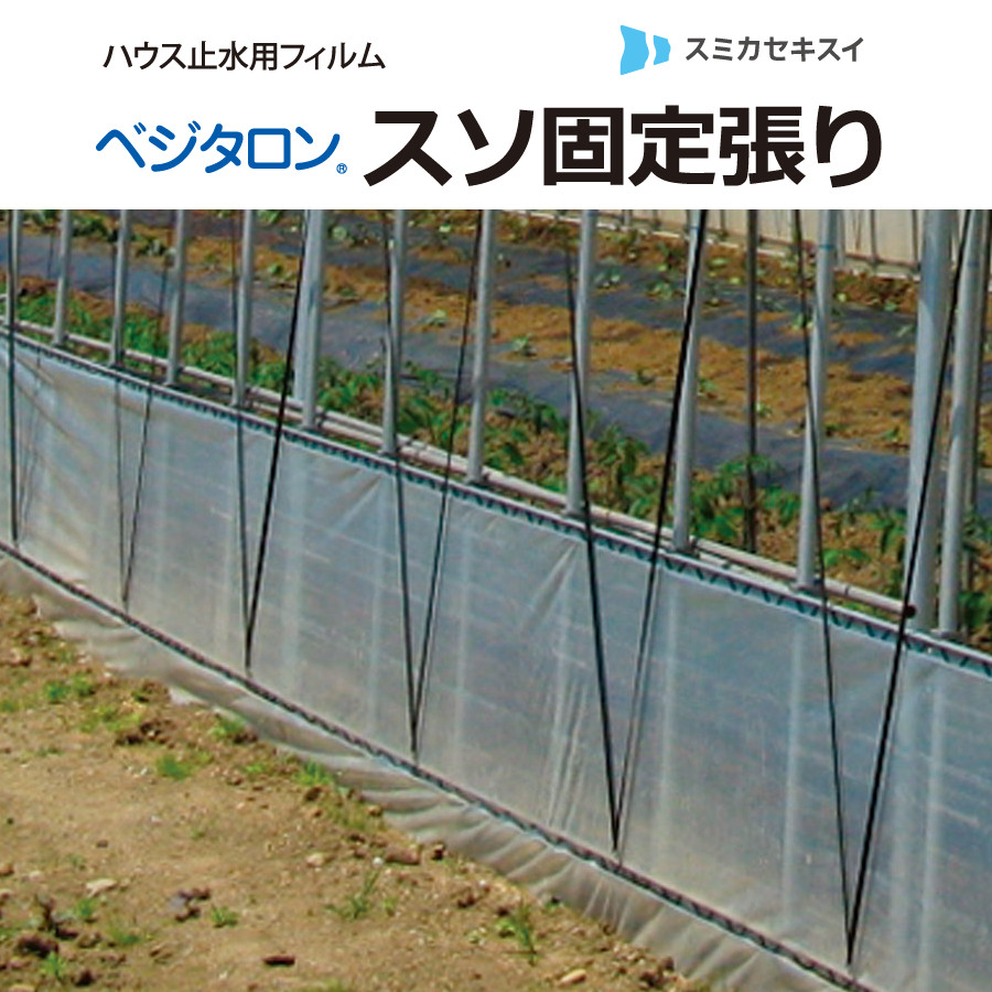 農PO ベジタロンスソ固着させる張り 0.15mm×75cm×55m巻
