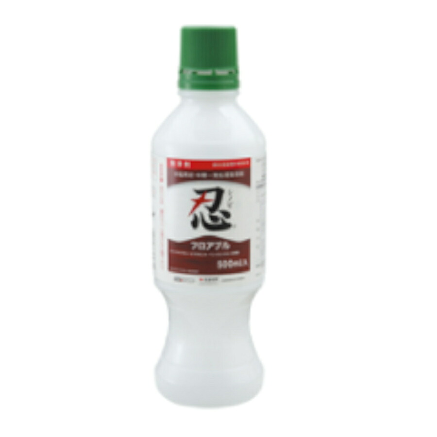 忍立ち会い場ブル 500ml×20本書き割り