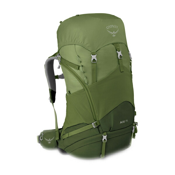 楽天市場 Osprey オスプレー エース 75 ベンチャーグリーン Osアウトドアギア ジュニア用デイパック バッグ バックパック リュック グリーン 子供用 おうちキャンプ ベランピング オープニング大放出セール Www Lexusoman Com 楽天市場 Osprey オスプレー エース 75 ベンチャーグリーン Osアウトドアギア ジュニア用デイパック バッグ バックパック リュック グリーン 子供用 おうちキャンプ ベランピング オープニング大放出セール Www Lexusoman Com