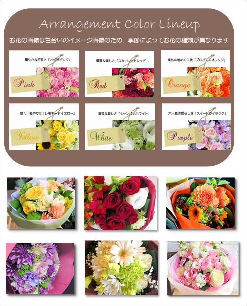 花 ギフト 開店祝い 開業 開院祝い 蘭 長寿祝い アレンジメント 生花 誕生日 店長オススメ 婚約祝い フラワー 送料無料 Vivre25 お祝い花 オープン あす楽 プレゼント 楽屋花 祝い 胡蝶蘭