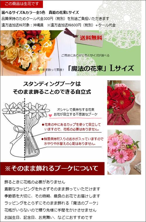 誕生日プレゼント 花束 生花 アレンジ 魔法の花束 サイズ あす楽 誕生日 記念日 お見舞い ホワイトデー 母の日 父の日 敬老の日 クリスマス Crunchusers Com