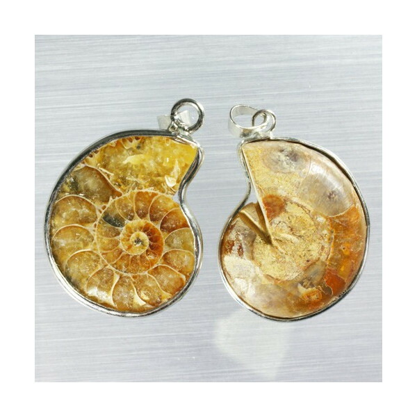 楽天市場】【ペア(2個1組)】アンモナイトの化石のペンダント