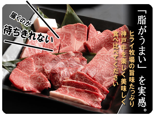 【あす楽対応】神戸牛 6点食べ比べ焼肉600g(3~4人前)【※一部地域+500円】 【あす楽対応】神戸牛 6点食べ比べ焼肉600g(3~4人前)【※一部地域+500円】