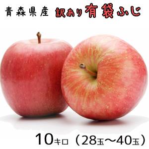 青森りんご☆送料無料☆訳ありりんご有袋ふじ10kg(10キロ)28-40玉【わけありりんご】発送は5月7日頃から