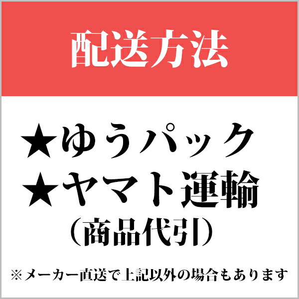 無料発送 池永鉄工 パスタマシン 製麺機 業務用 鉄鋳物 日本製 4mm 幅仕様 ASI9002