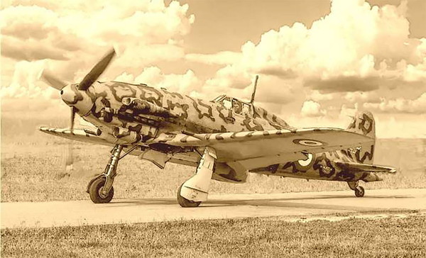 【貨物輸送無料】 イタレリ 1/32 WW.II イタリア共和国米空軍 マッキ MC.205 呼びりんトロ(日本語対訳加えること書きあらわす書嘱する) プラモデル IT2519JP