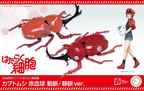 【送料無料】　フジミ模型 自由研究シリーズ No.217 はたらく細胞編 カブトムシ 赤血球 動脈/静脈 ver. 色分け済プラモデル画像
