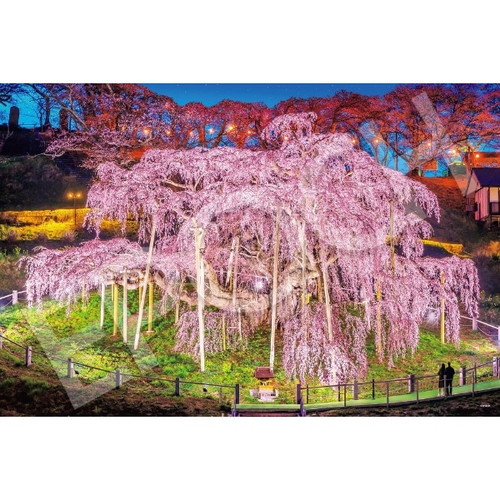 【送料無料】　ジグソーパズル 1000ピース 日本風景(春柄）三春の滝桜ー福島 50x75cm 09-058s画像