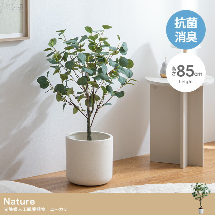 光触媒　人工観葉植物　ウォールグリーン　フェイクグリーン　ユーカリポット180 er_img_597.jpg