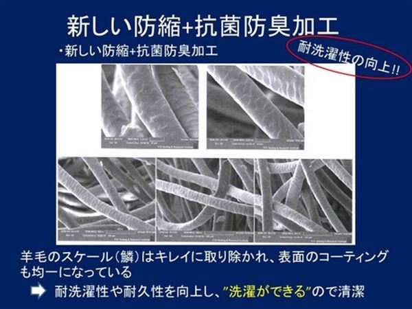 抗菌防臭フランス羊毛軽量敷布団ブルーダブル日本製洗える