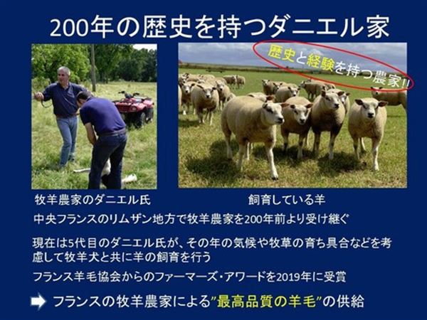 抗菌防臭フランス羊毛軽量敷布団ブルーダブル日本製洗える