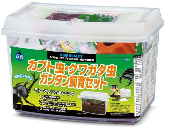 楽天市場】むしや本舗 カブトムシ・クワガタ成虫 飼育セット 飼育