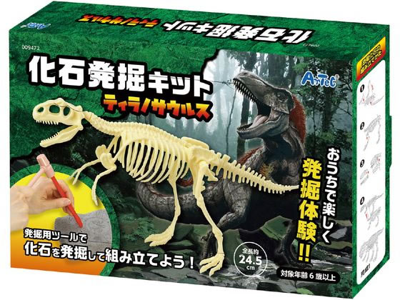 古生物/化石セット 楽天市場】化石発掘3種セット 化石発掘プレート