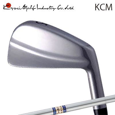 年末年始セール！レア！ CRAZY SBi-02 アイアンヘッド です！ お取り寄せ品クレイジー SBi-02 アイアン ヘッド単体