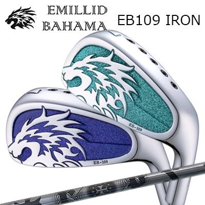 リミテッド　プレミアム　アイアンセット　プレミアムスピーダー装着　R カスタム trpx-iron.jpg