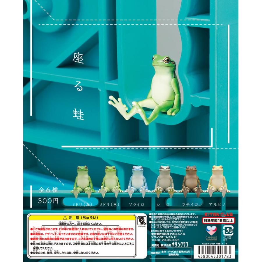 ♯Dlm06KOフロッグスタイルFROGSTYLE毎日カエルフルコンプ全30種 ♯Dlm06KOフロッグスタイルFROGSTYLE毎日カエルフルコンプ全30種