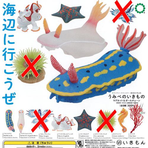 いきもん　NATURE TECHNI COLOUR MONO PLUS うみべのいきもの マグネット＆ボールチェーン　6種セット