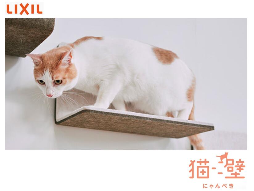 楽天市場】☆LIXIL 猫壁 にゃんぺき ボックス 透明タイプ 幅390mm×高さ