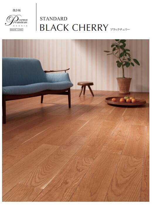 楽天市場】☆ライブナチュラル プレミアム (スタンダード) ブラック