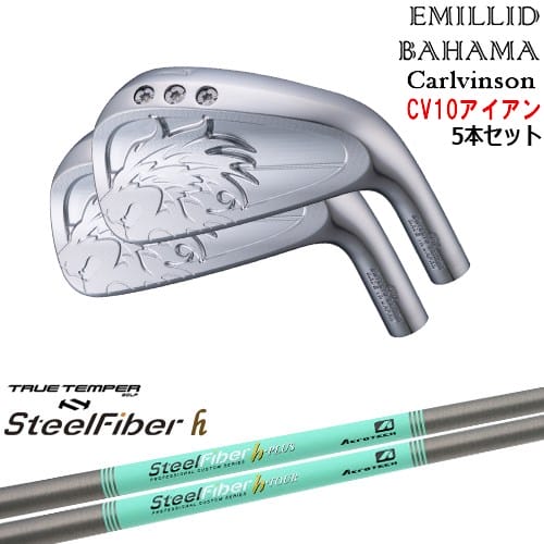 【OVDカスタム】Carlvinson CV10 IRON アイアン5本set(6I-PW) [6P]エミリッドバハマEMILLID_BAHAMA スチールファイバーh(パラレル) SteelFiberTRUE TEMPER