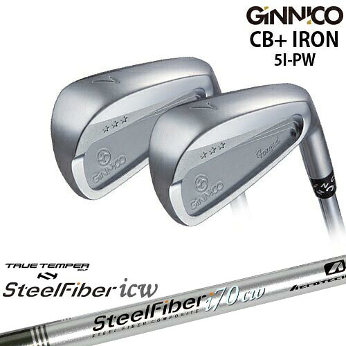 【工房カスタム】GINNICO ジニコ CB+ IRON アイアン 6本set[5P]イオンスポーツEON_SPORTS スチールファイバーi(テーパー) SteelFiberTRUE TEMPER｜カスタムクラブ工房 OVDGOLF