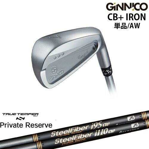 GINNICO ジニコ CB+ IRON アイアン単品（AW）[IR]イオンスポーツEON_SPORTS SteelFiberｉシリーズ SteelFiber Private Reserve トゥルーテンパー